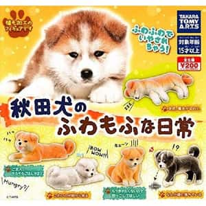 日本直送 狗公仔擺設 秋田犬的蓬鬆日常 一套五隻(TBS) - 清貨優惠 生活用品超級市場 狗狗精品