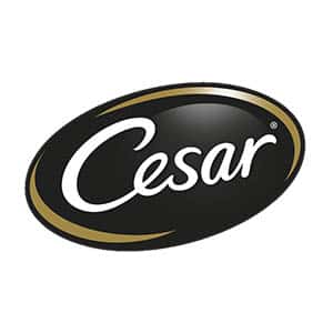 Cesar西莎